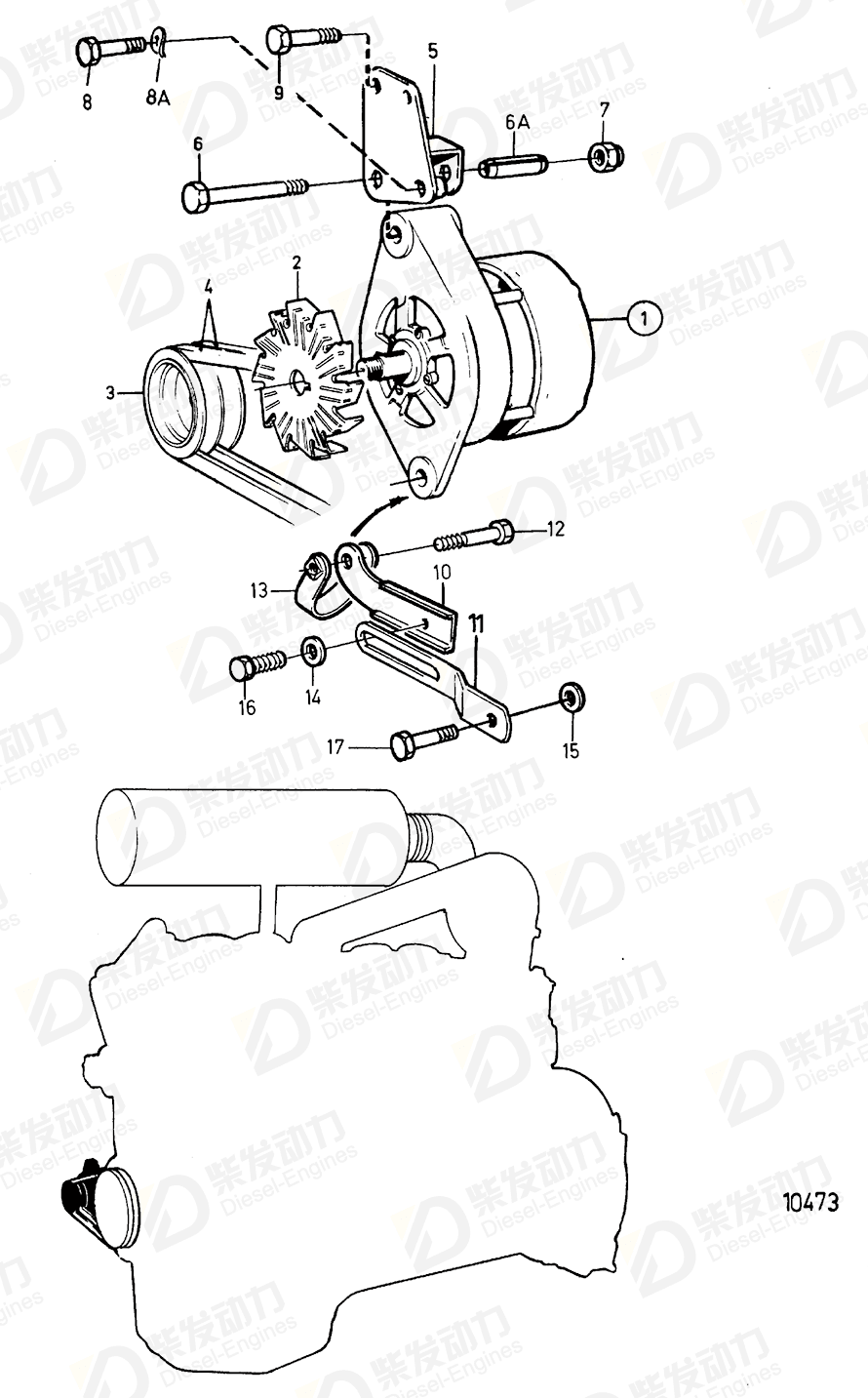 volvo penta V-belt, multi-V 9146844 Drawing